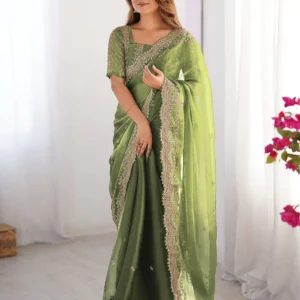 light green shimmer sequence embroidery saree